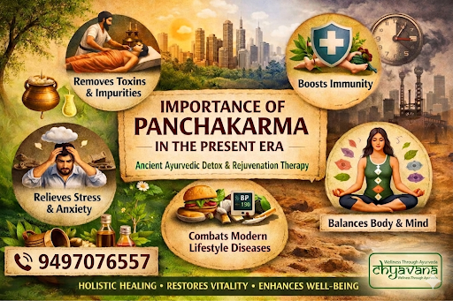 Best Panchakarma Treatment in Wayanad | Ayurvedic Detox & Rejuvenation Kerala